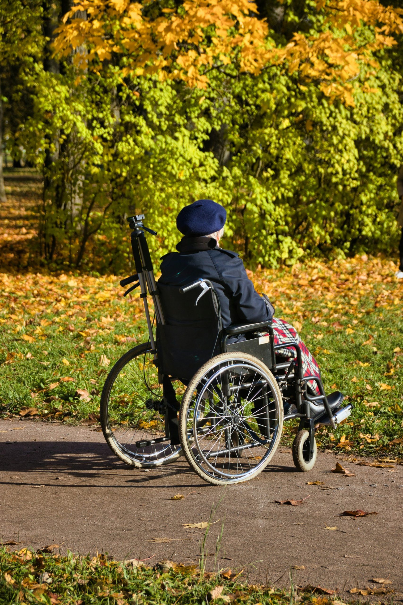 Wheelchair user outdoors, an example of NDIS assistive technology funding for mobility equipment