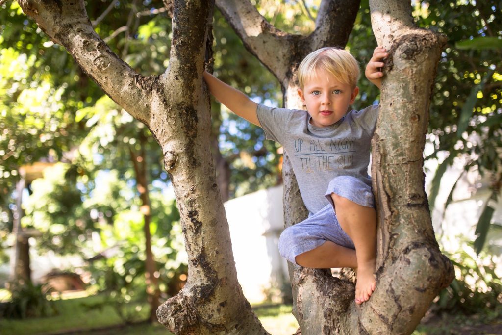 Young barefoot boy climbing a tree in a sunny backyard garden, enjoying outdoor play